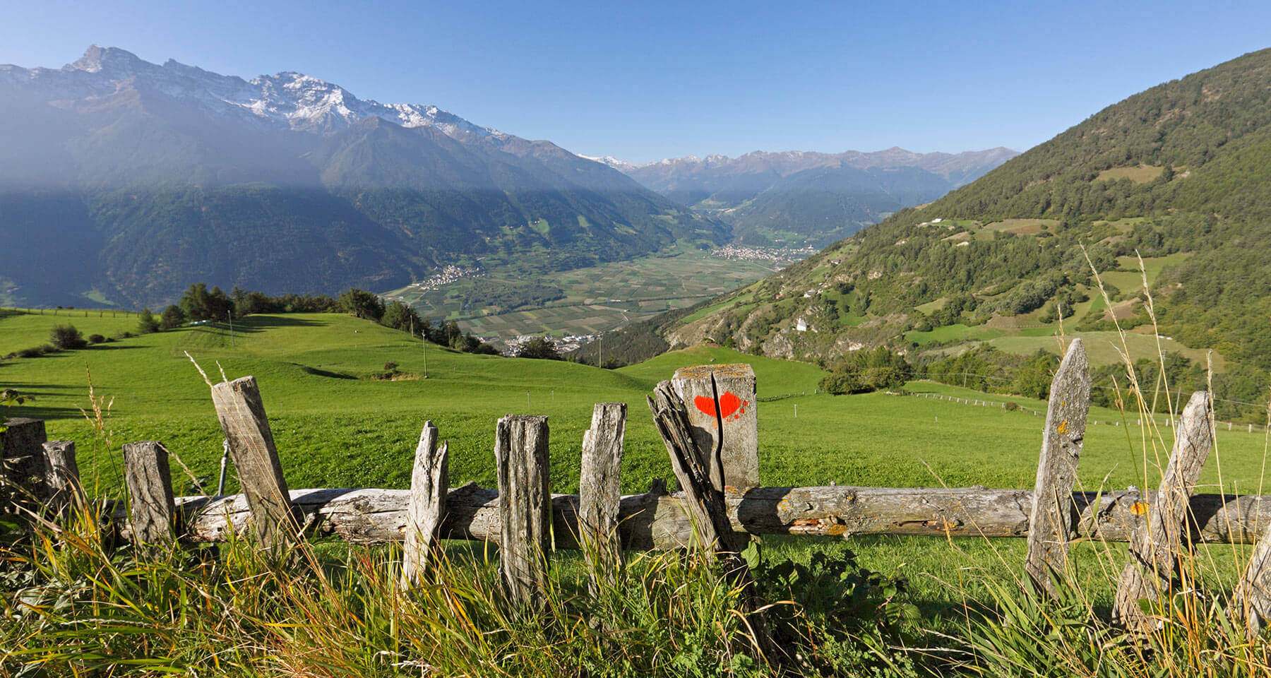 Bildergalerie - Alter Holzzaun auf einer Alm über Latsch - Matill