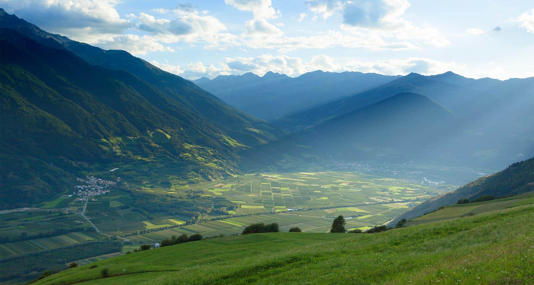 Impressioni - Il mio tempo - Malga sopra Laces in Val Venosta - Matill