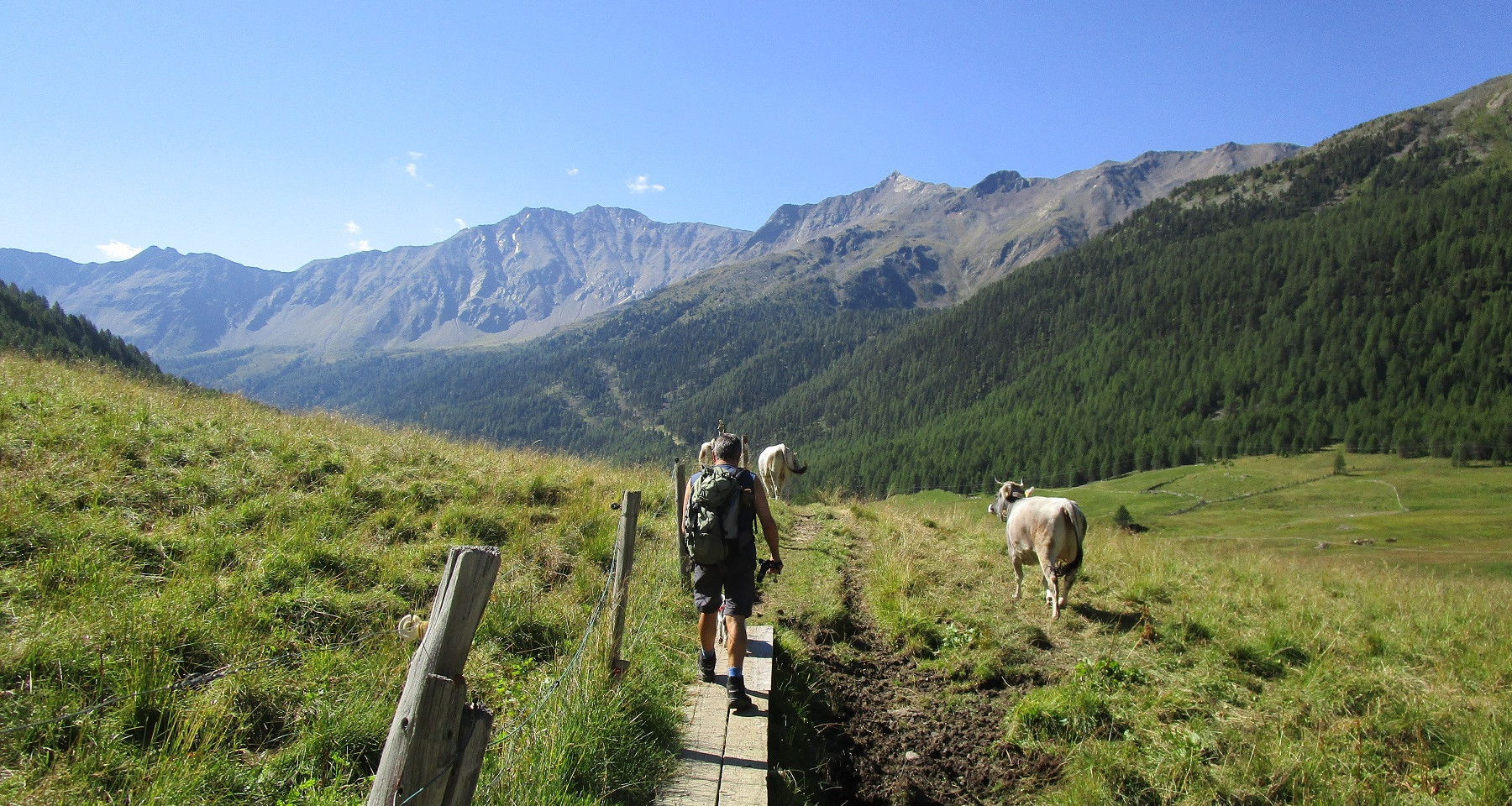 Bildergalerie - Aktiv - Wanderung auf einer Südtiroler Alm - Matill
