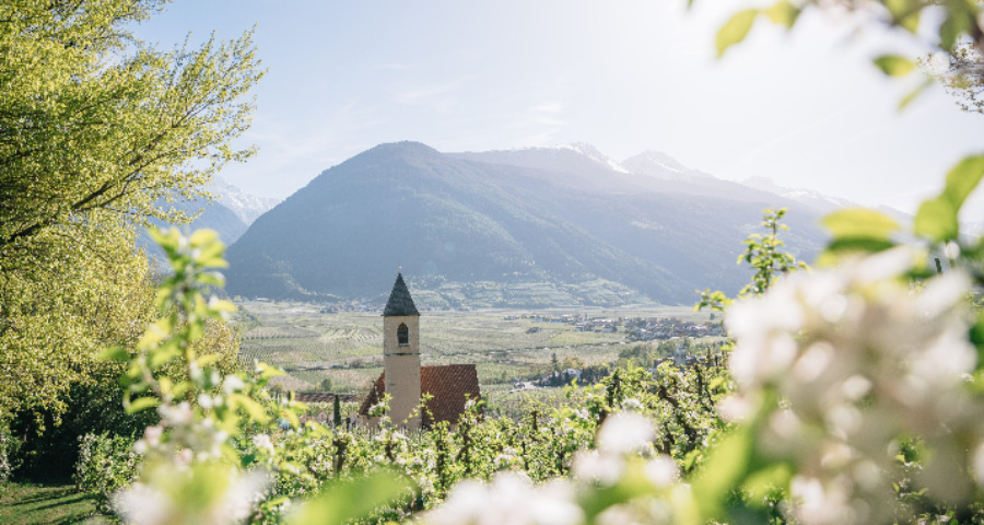 Frühsommer-Erlebniswoche