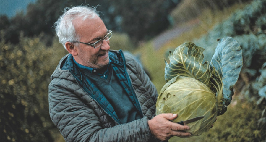 Frühlings-Blütenwochen