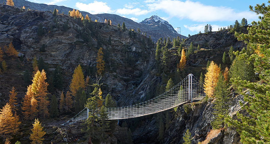 Frühsommer-Erlebniswoche
