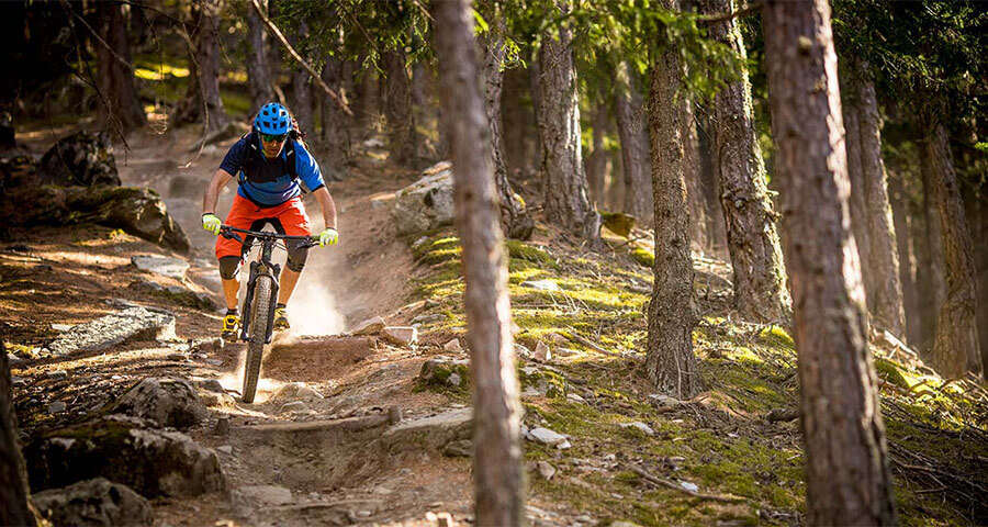 Bildergalerie - Trails mit dem Downhill-Bike - Matill
