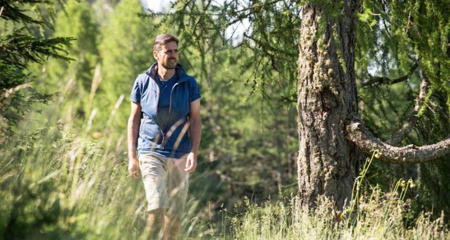 Bildergalerie - Mann wandert in Mitten von Bäumen - Matill