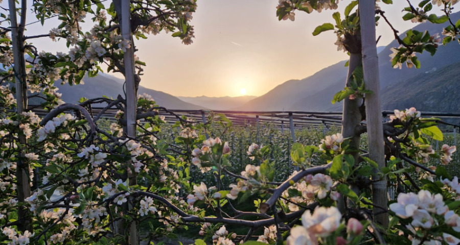 Saisonsende - Pfiat enk - Gruppe von Personen feiert - Matill