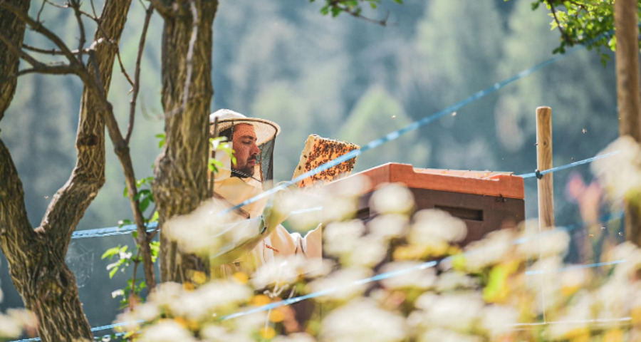 Törggelen - Terrasse mit Mann vor einem Feuer brät Kastanien - Matill