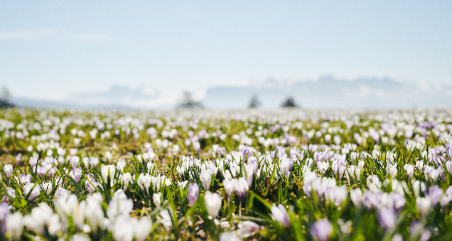 Törggelen - Terrasse mit Mann vor einem Feuer brät Kastanien - Matill