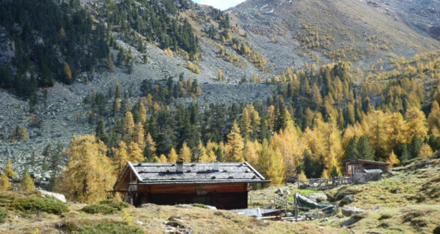 Törggelen - Terrasse mit Mann vor einem Feuer brät Kastanien - Matill
