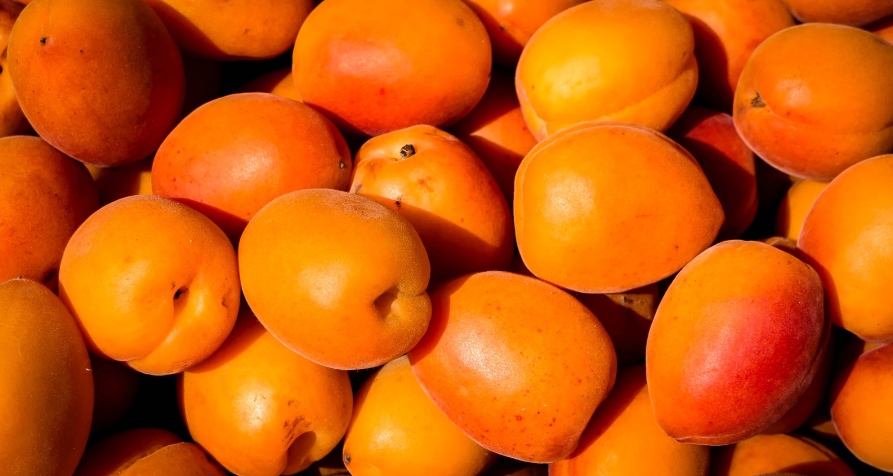 Bike-Paradies Vinschgau