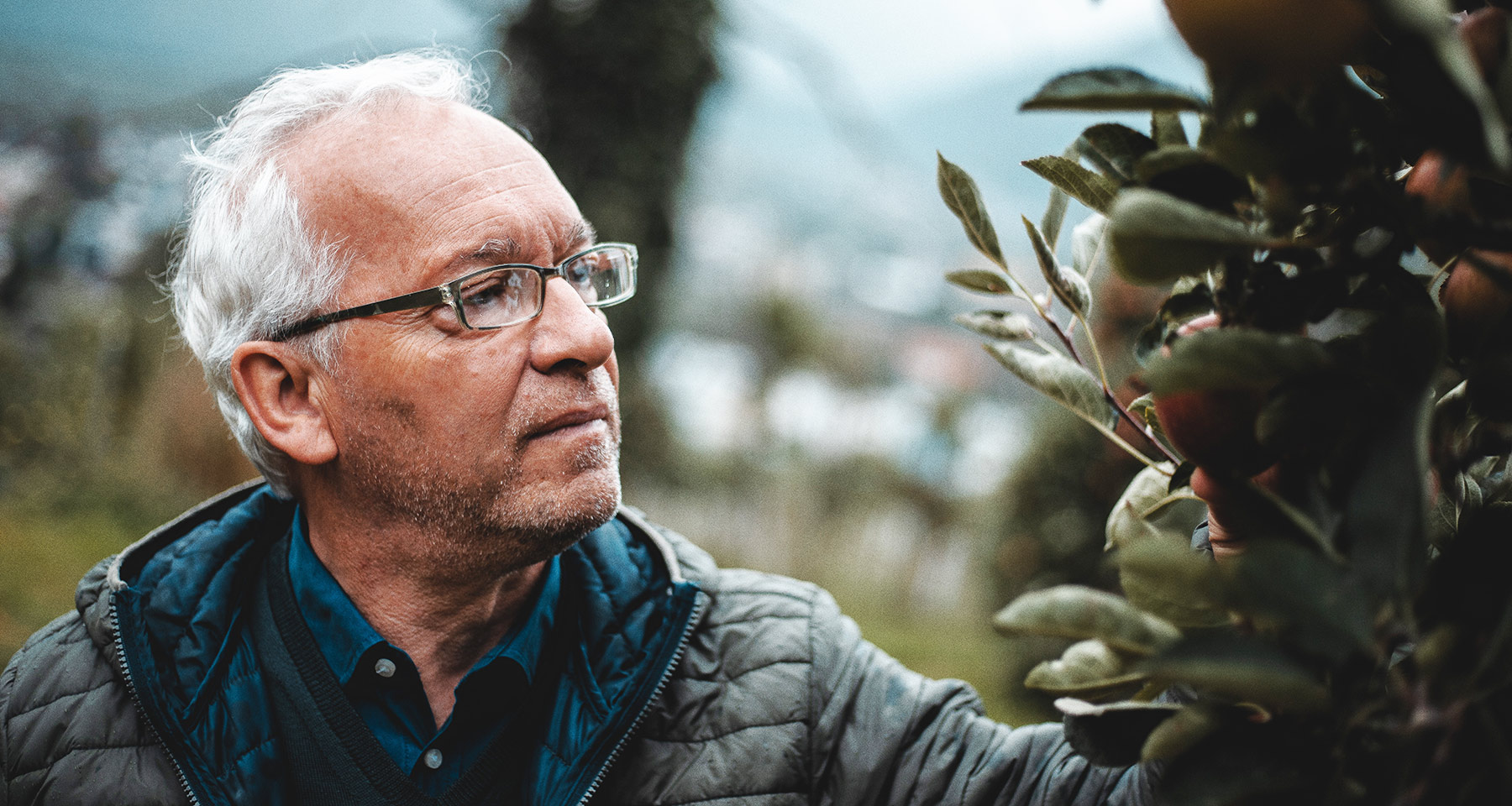 Gourmet - senza glutine - uomo guarda le foglie - Matill
