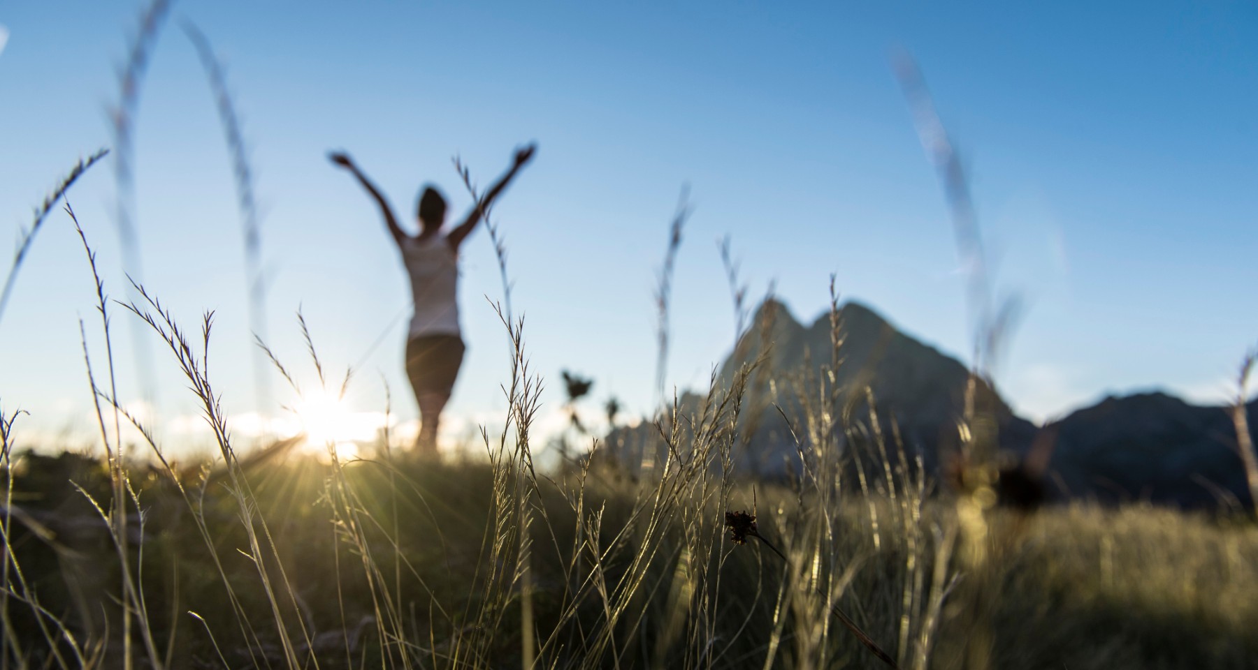 Bildergalerie - Meine Zeit - Frau macht Yoga mitten im Grünen - Matill