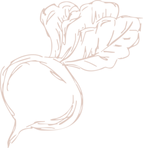 Matill - Vinschgau boutique hotel with wellness area